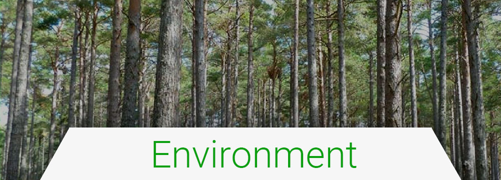 environment-banner
