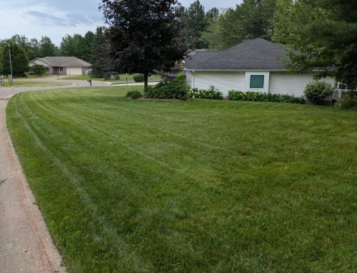 Figure 1: Typical lawn landscape.