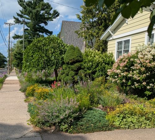 Figure 3: Flower and shrub landscape.