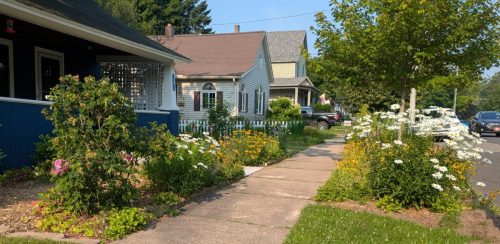 Figure 5: Example of flower garden in the terrace area between the sidewalk and street.